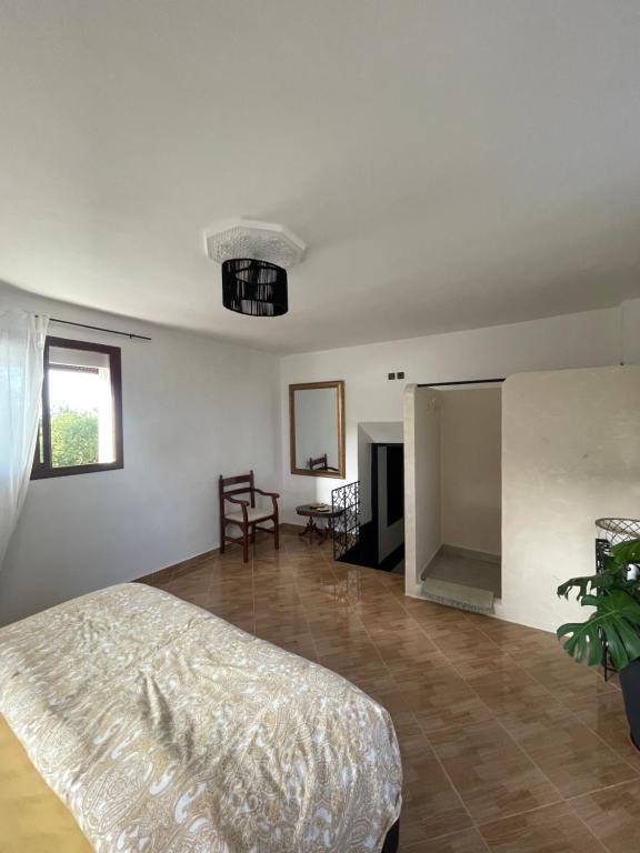 Syrah Home