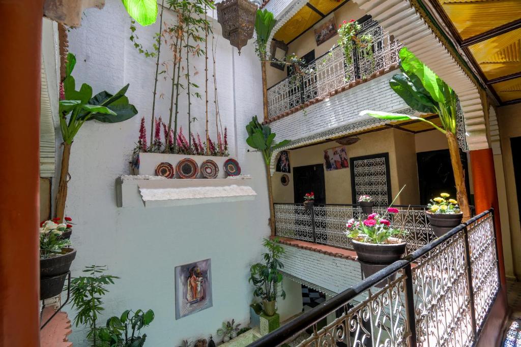 riad salma