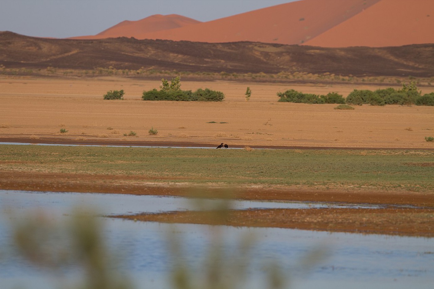 Dayet Srji Lake